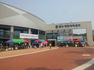 제3회 달성군수기생활체육수영대회