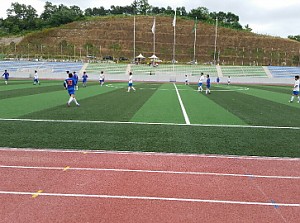 2014년 달성군수기 생활체육대회(축구)